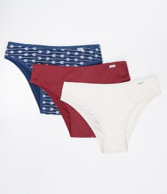 Kit com 3 Calcinhas Biquíni DelRio