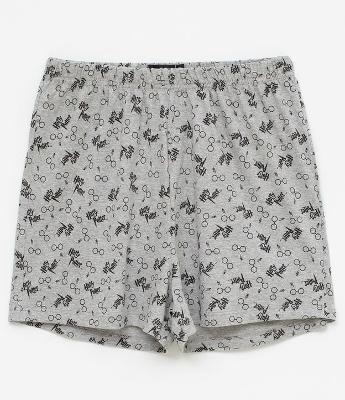Cueca Samba Canção Harry Potter